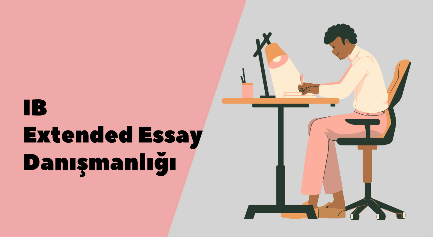 IB Extended Essay Danışmanlığı