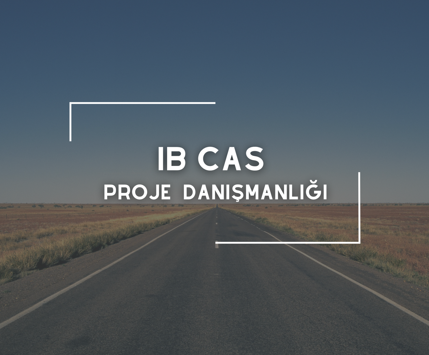 IB DP CAS Proje Danışmanlığı